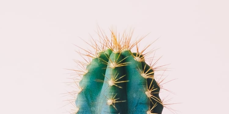 Never Seen Before Masterclass !